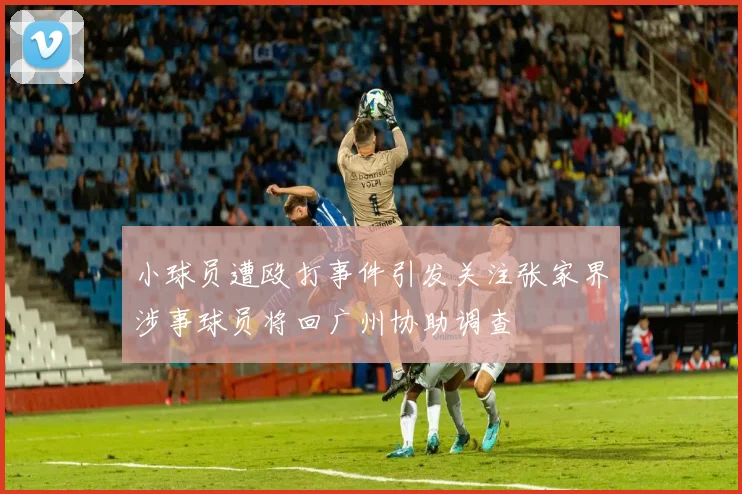 小球员遭殴打事件引发关注张家界涉事球员将回广州协助调查